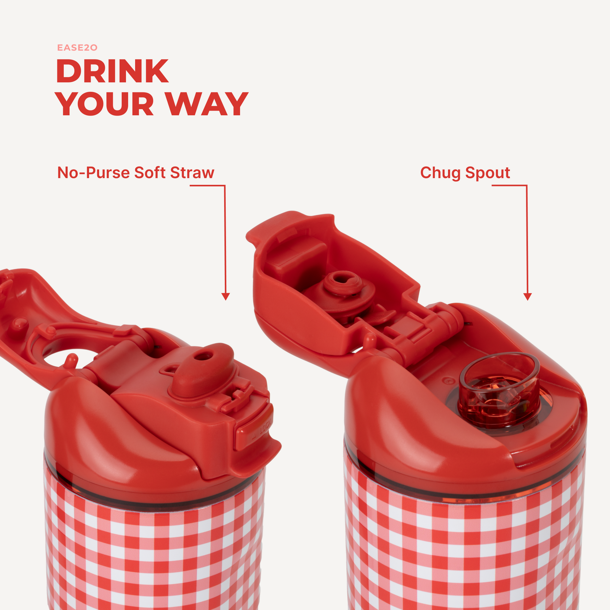 summer-picnic-j2 Ease14-SummerPicnic-3WPI.png